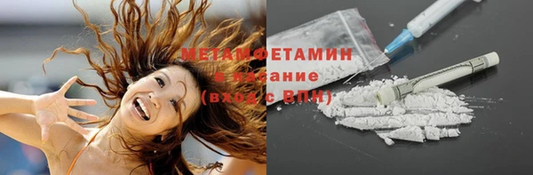 прущие грибы Верхний Тагил