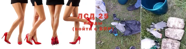 прущие грибы Верхний Тагил