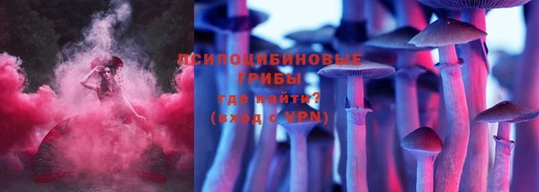 прущая мука Верея