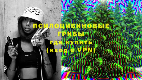 твердый Богданович