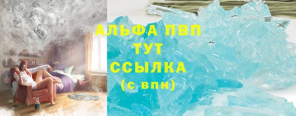 прущие грибы Верхний Тагил