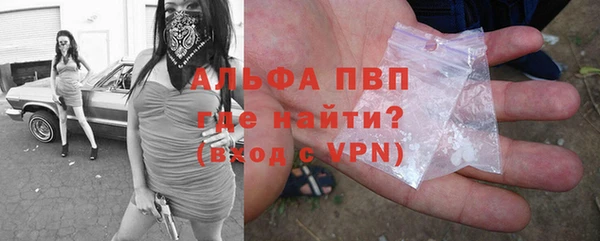 стаф Волоколамск