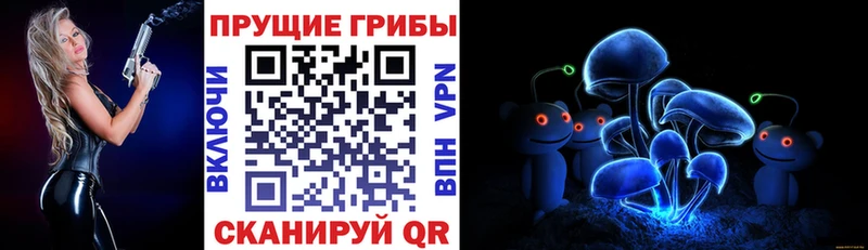 Галлюциногенные грибы Psilocybine cubensis  Калачинск 