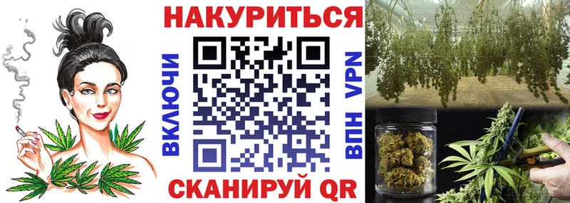 дарк нет состав  мега рабочий сайт  Шишки марихуана гибрид  Калачинск  хочу  